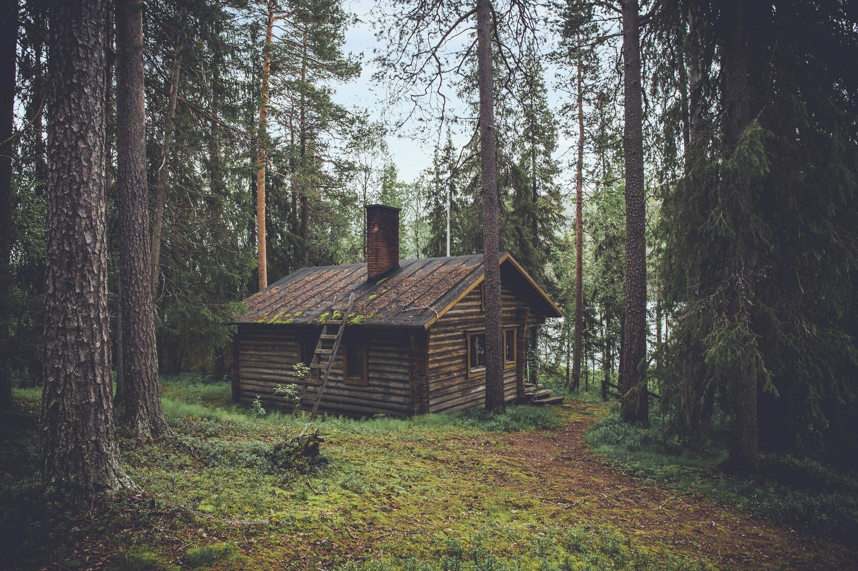A cosy timber cabin nestled in a quiet forest setting